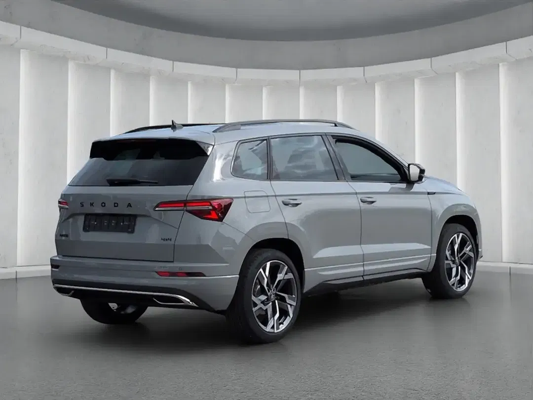 Skoda Karoq - Thumbnail 3