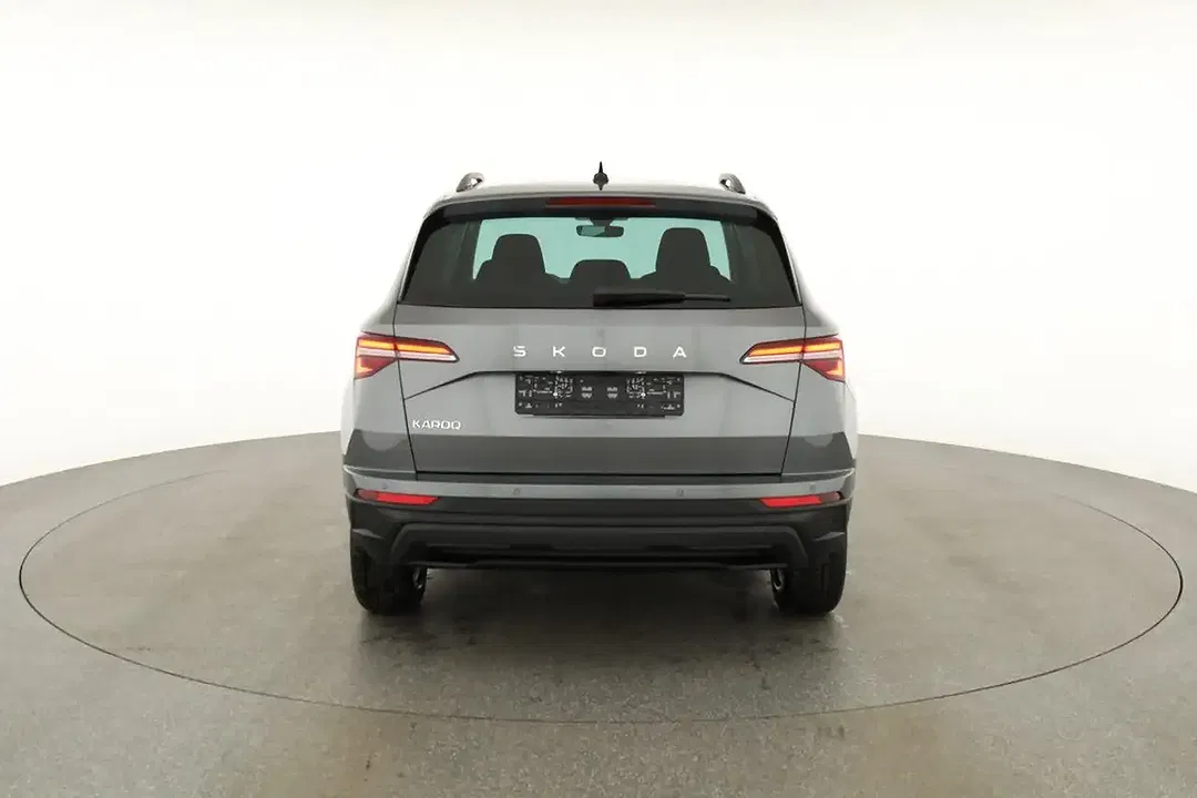 Skoda Karoq - Thumbnail 18