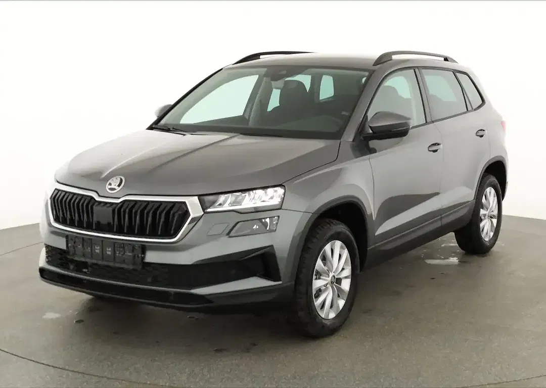 Skoda Karoq - Thumbnail 1