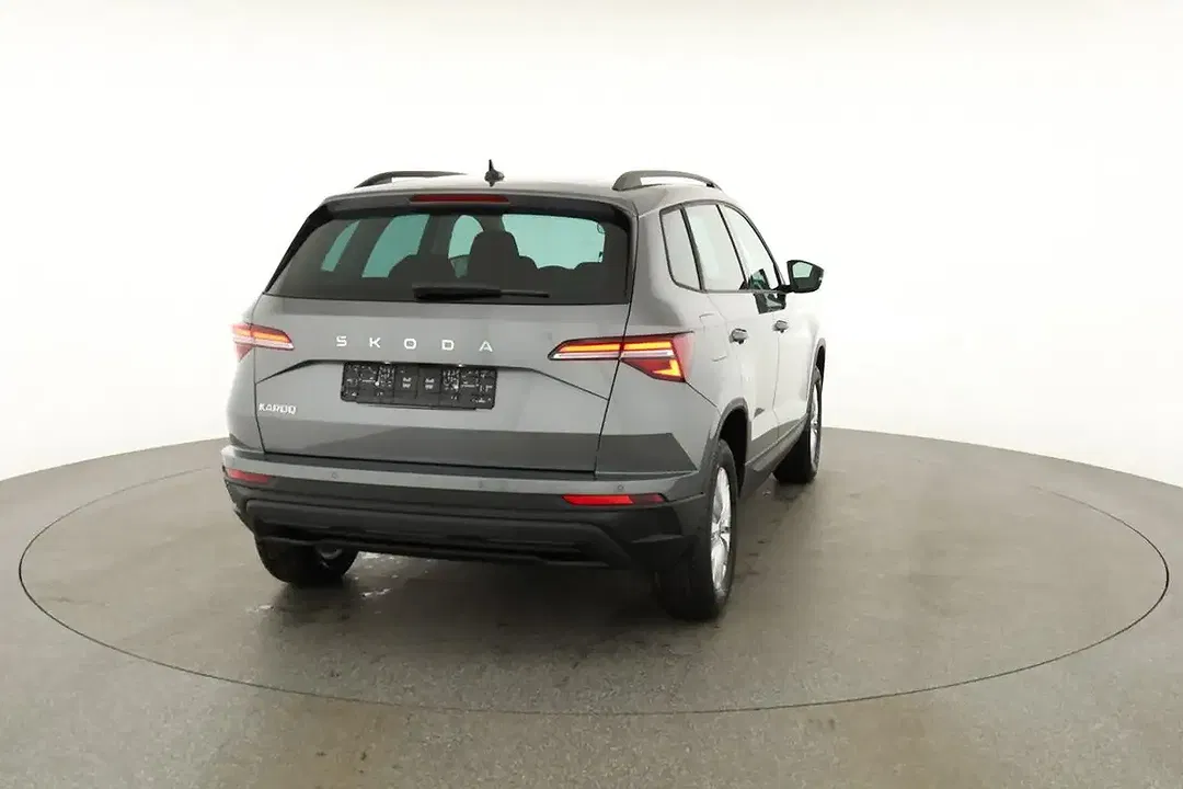 Skoda Karoq - Thumbnail 19