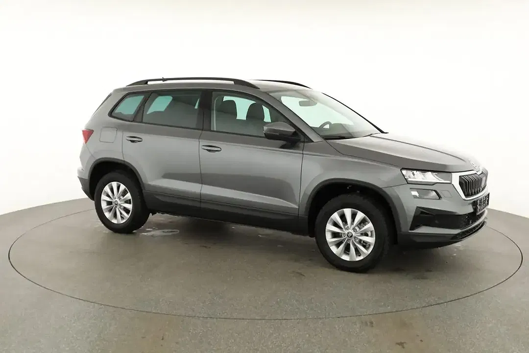 Skoda Karoq - Thumbnail 26