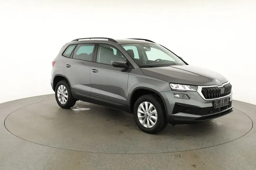 Skoda Karoq - Thumbnail 27
