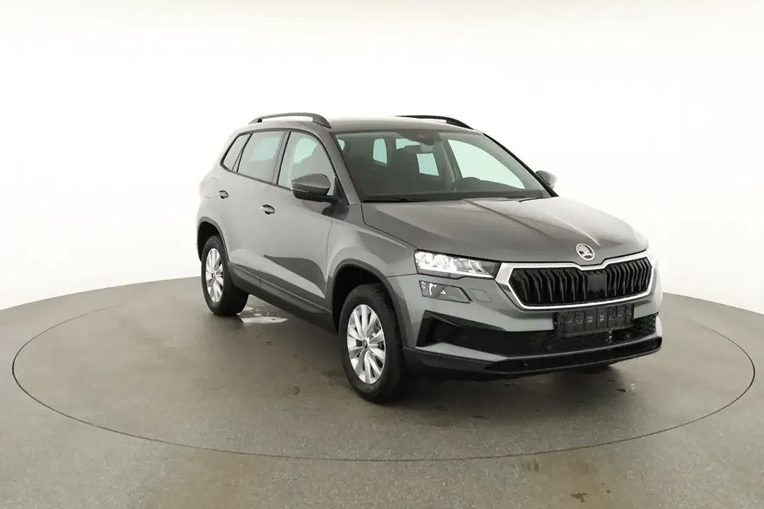 Skoda Karoq - Thumbnail 28