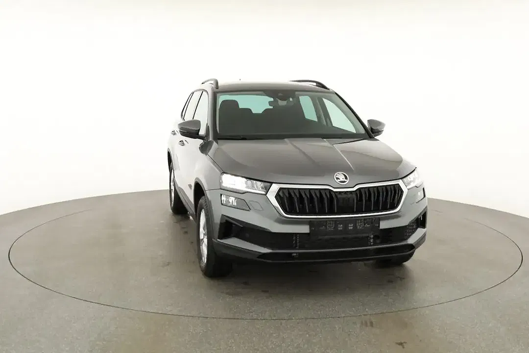 Skoda Karoq - Thumbnail 29