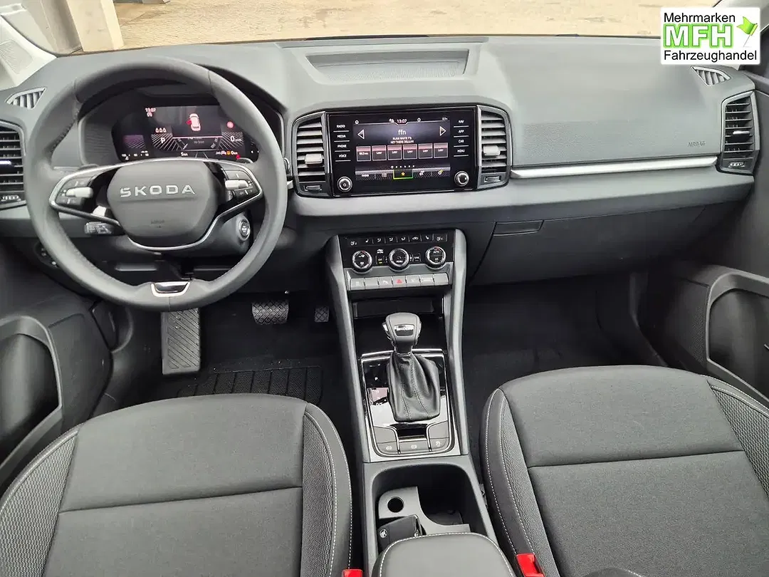 Skoda Karoq - Thumbnail 12