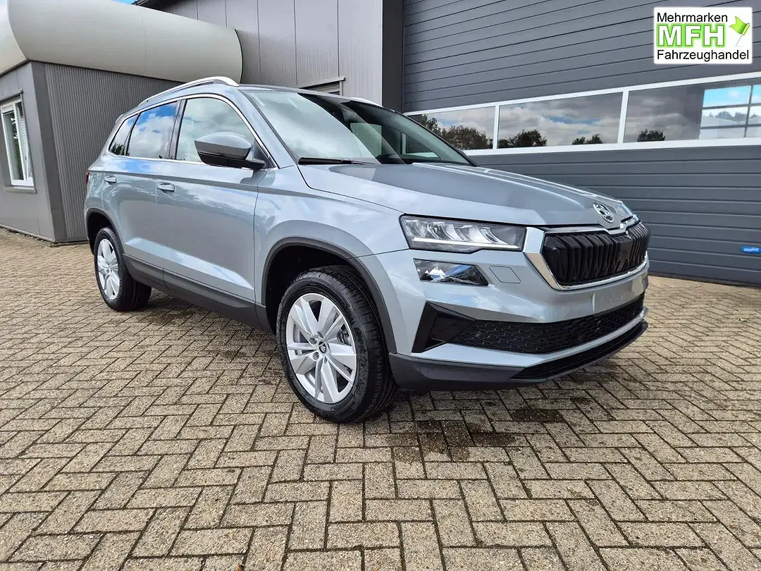 Skoda Karoq - Thumbnail 7