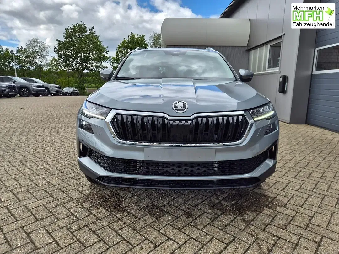 Skoda Karoq - Thumbnail 8