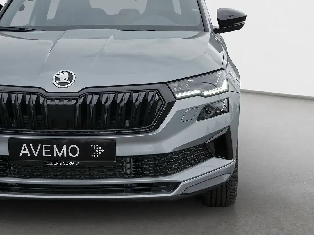 Skoda Karoq - Thumbnail 11
