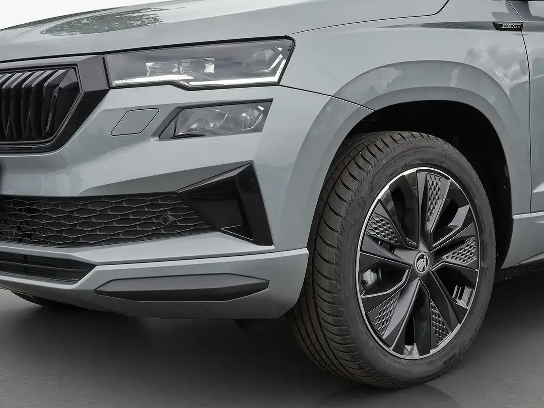 Skoda Karoq - Thumbnail 12