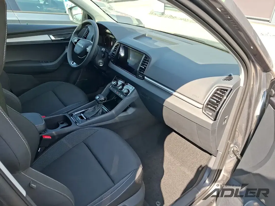 Skoda Karoq - Thumbnail 10