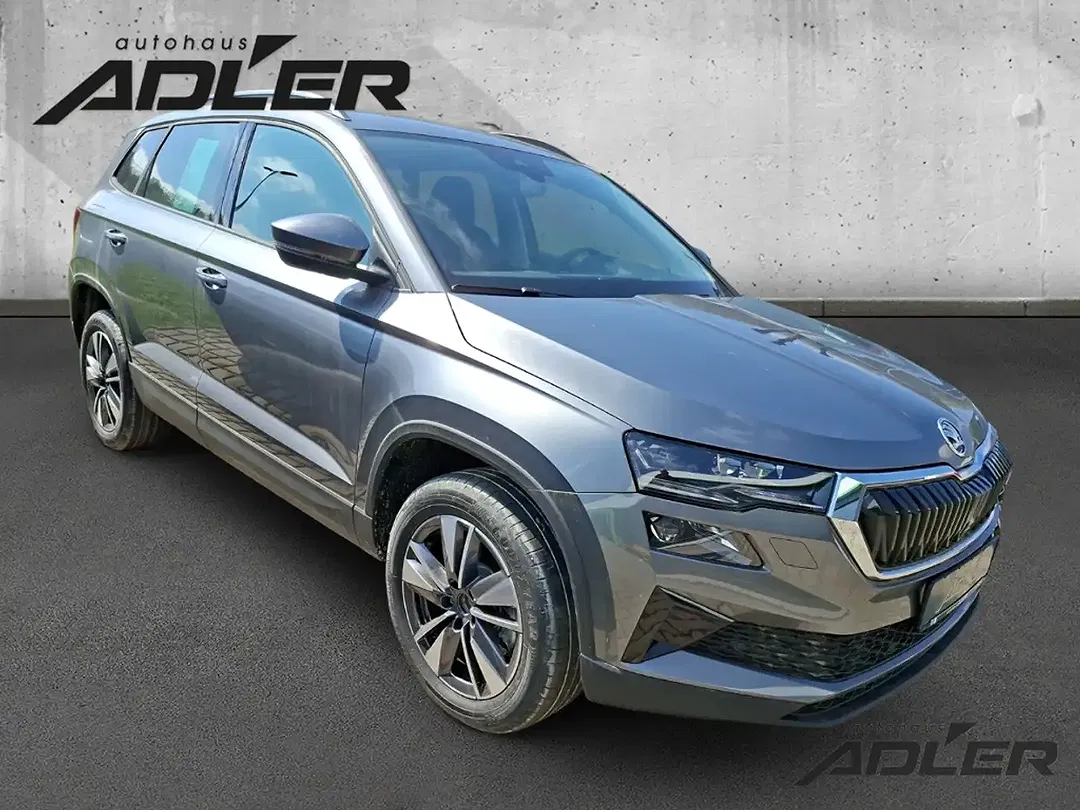 Skoda Karoq - Thumbnail 3