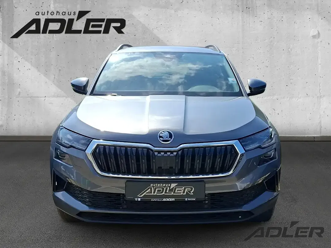 Skoda Karoq - Thumbnail 6