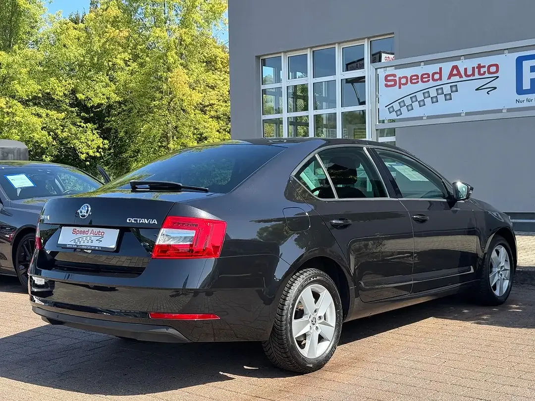 Skoda Octavia - Thumbnail 9