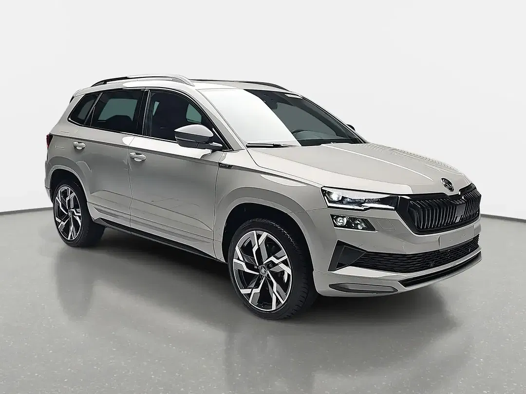 Skoda Karoq - Thumbnail 2