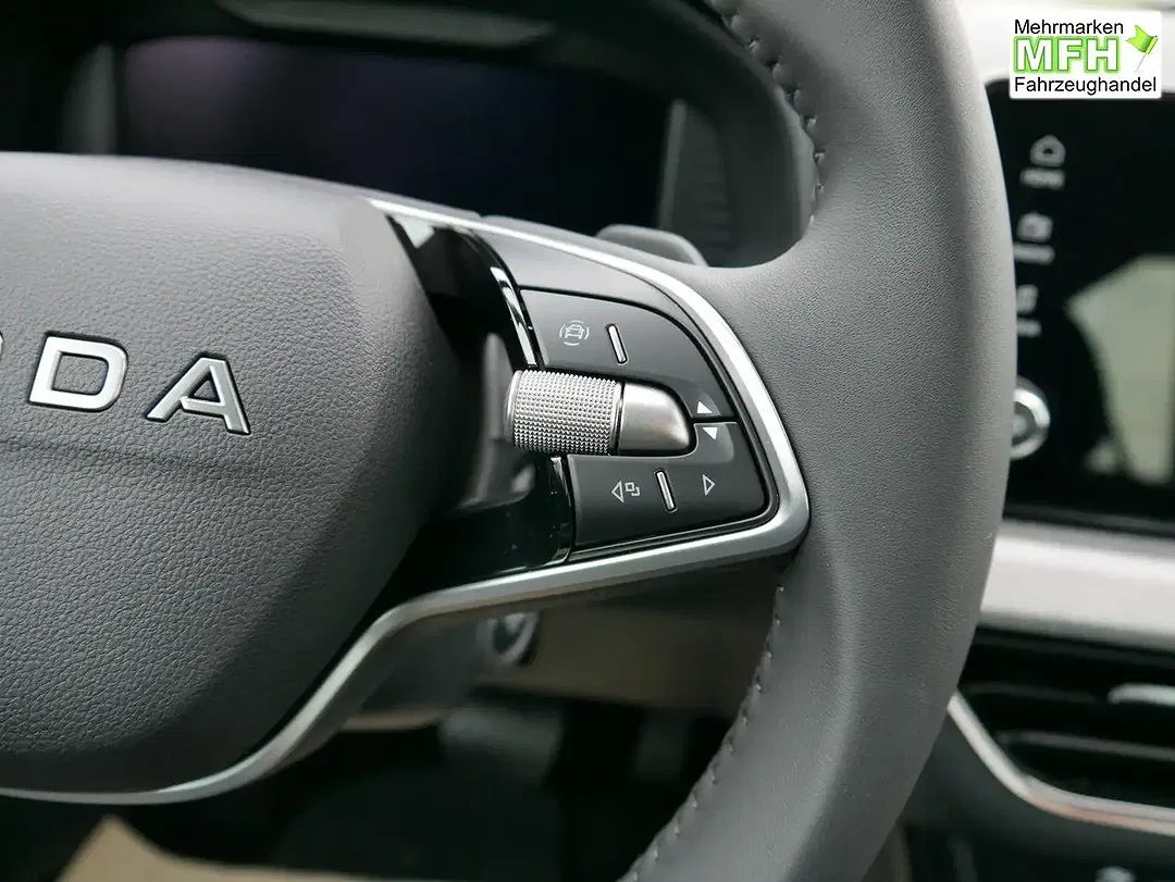 Skoda Kamiq - Thumbnail 12
