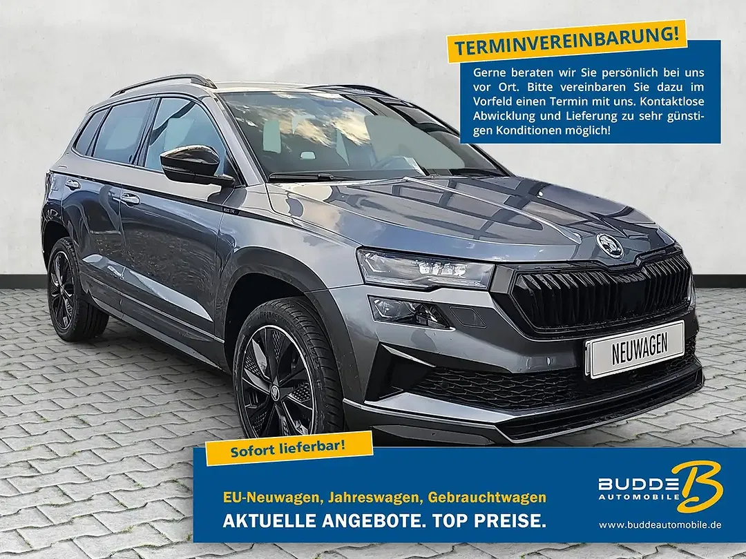 Skoda Karoq - Thumbnail 1