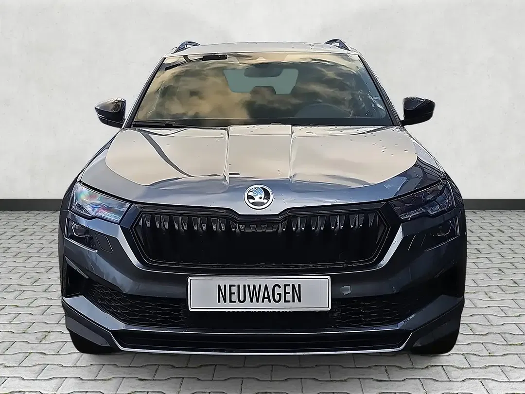 Skoda Karoq - Thumbnail 17