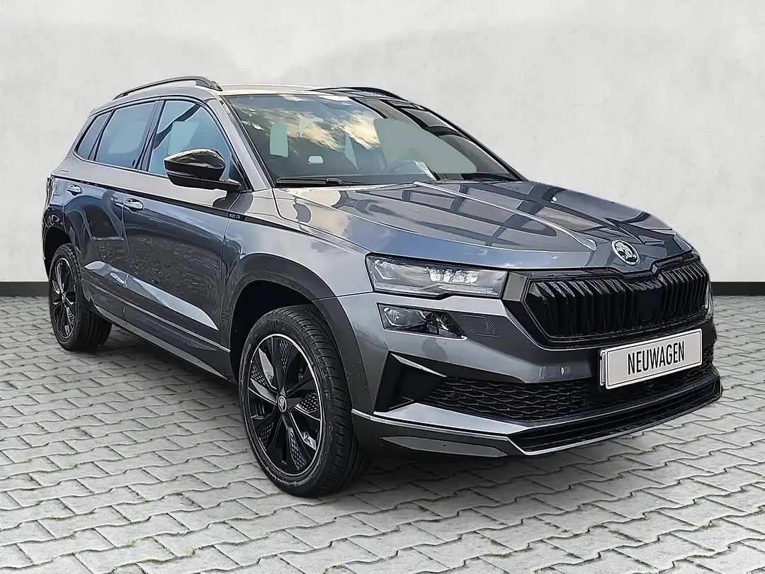 Skoda Karoq - Thumbnail 2