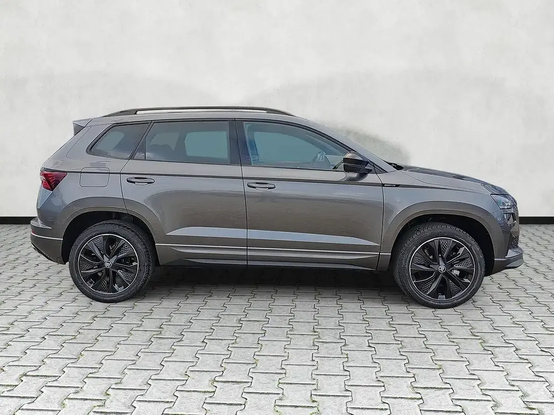 Skoda Karoq - Thumbnail 23