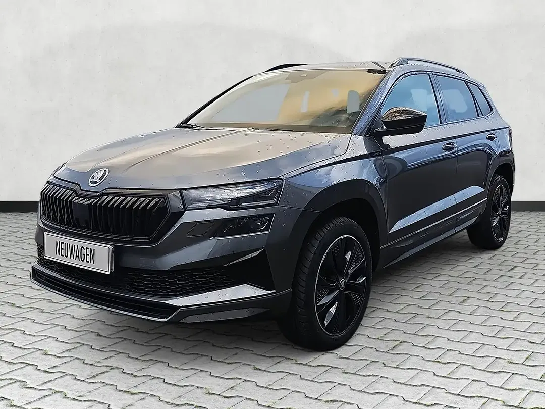 Skoda Karoq - Thumbnail 4