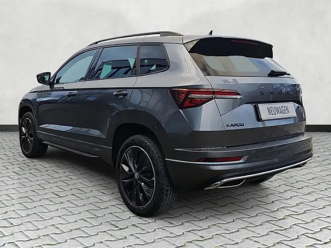 Skoda Karoq - Thumbnail 6