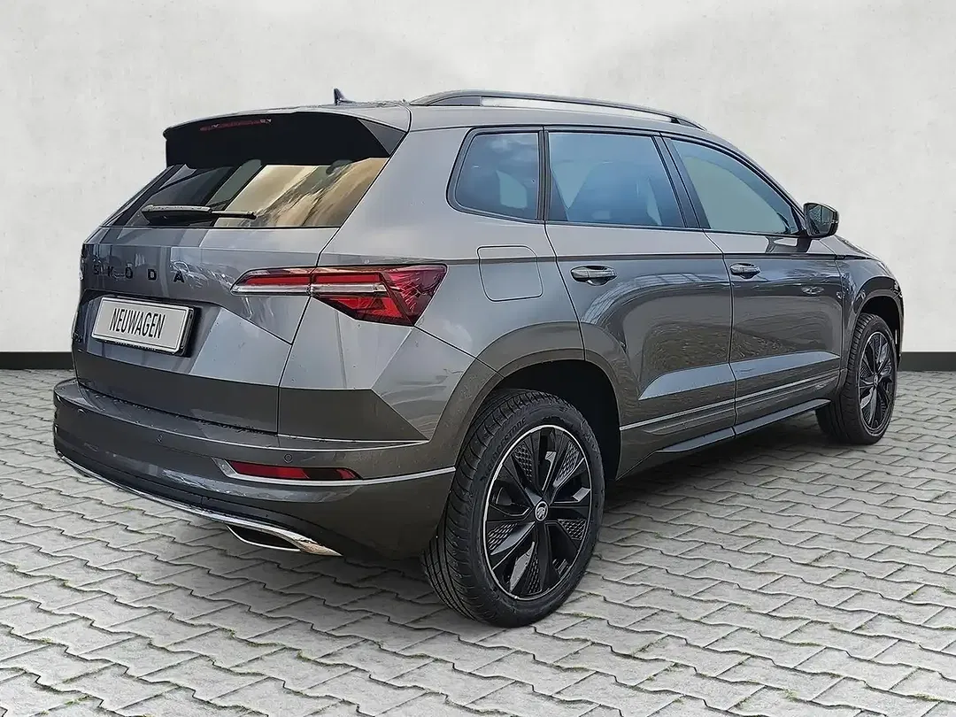 Skoda Karoq - Thumbnail 8