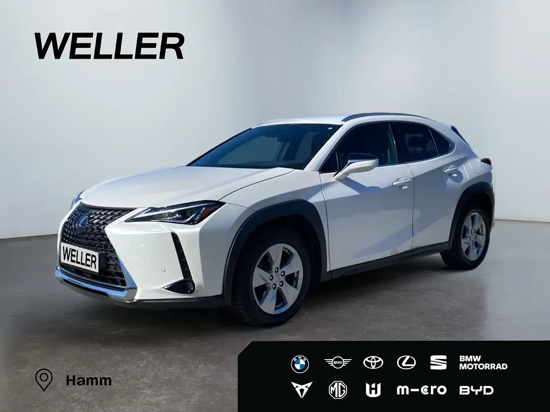 Lexus UX 250h - Afbeelding 1