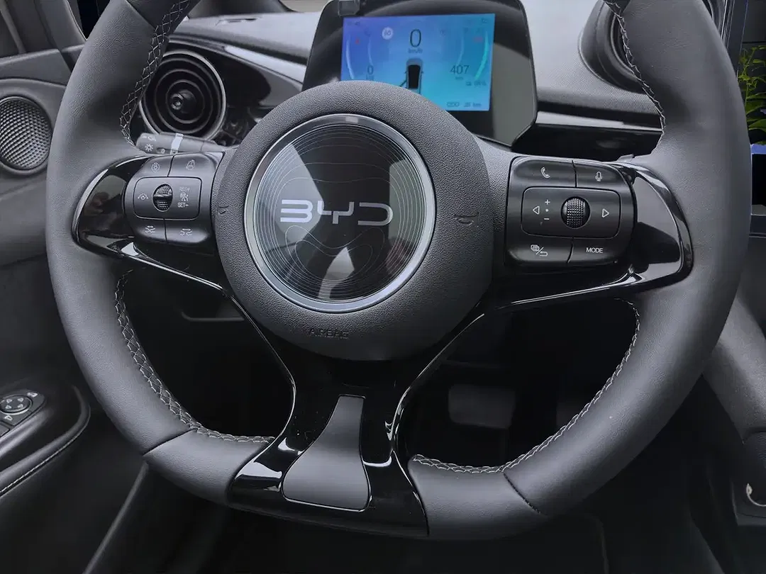 BYD Dolphin - Thumbnail 12