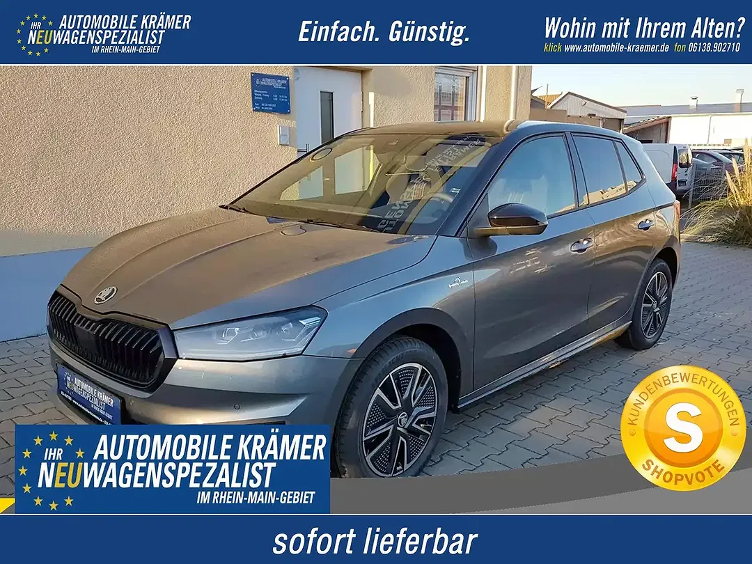 Skoda Fabia - Thumbnail 1