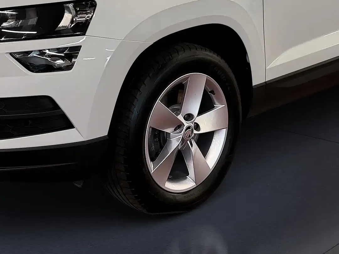 Skoda Karoq - Thumbnail 13