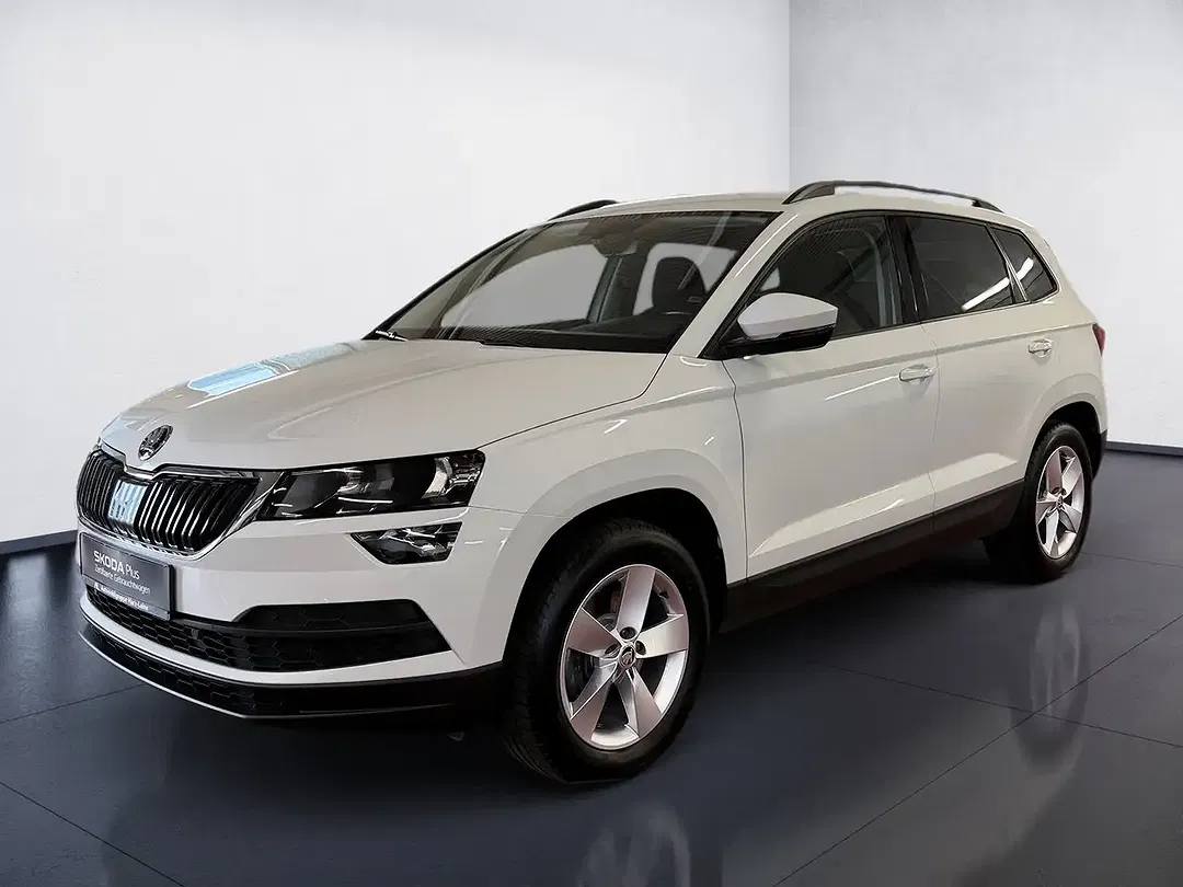 Skoda Karoq - Thumbnail 1