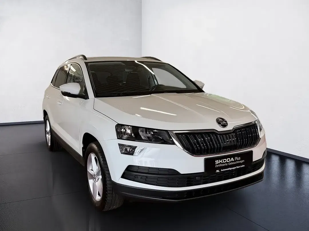 Skoda Karoq - Thumbnail 7