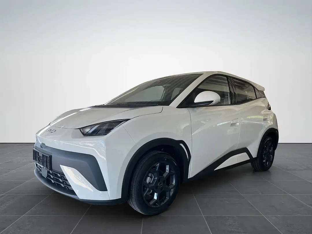 BYD Dolphin - Afbeelding 1