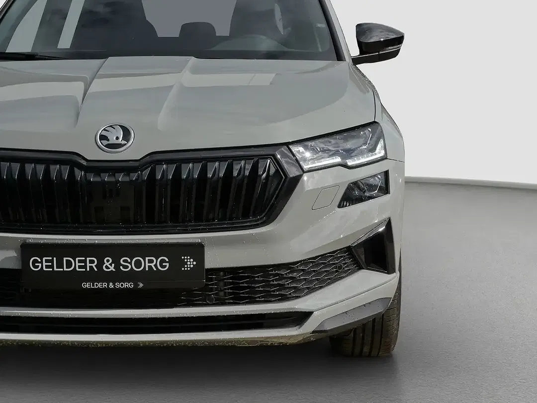 Skoda Karoq - Thumbnail 11