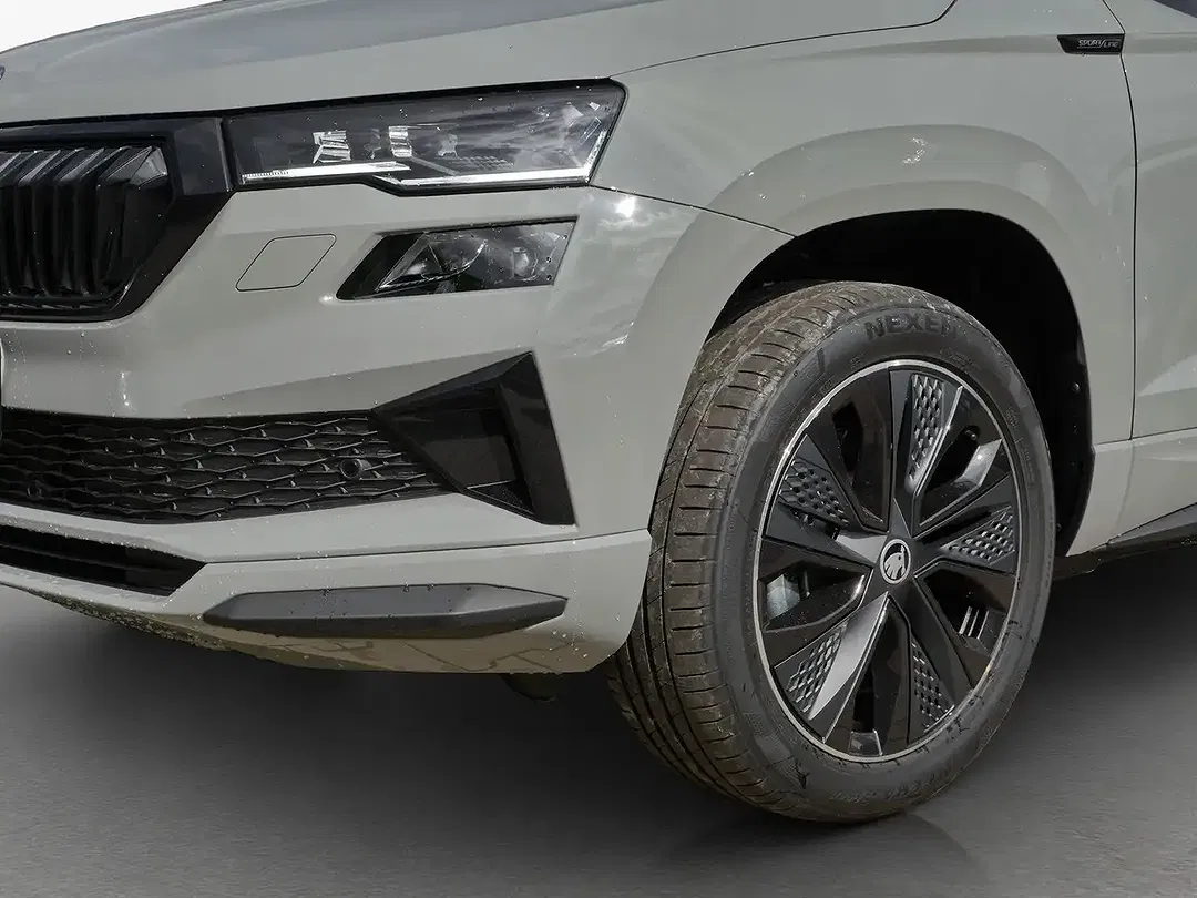Skoda Karoq - Thumbnail 12