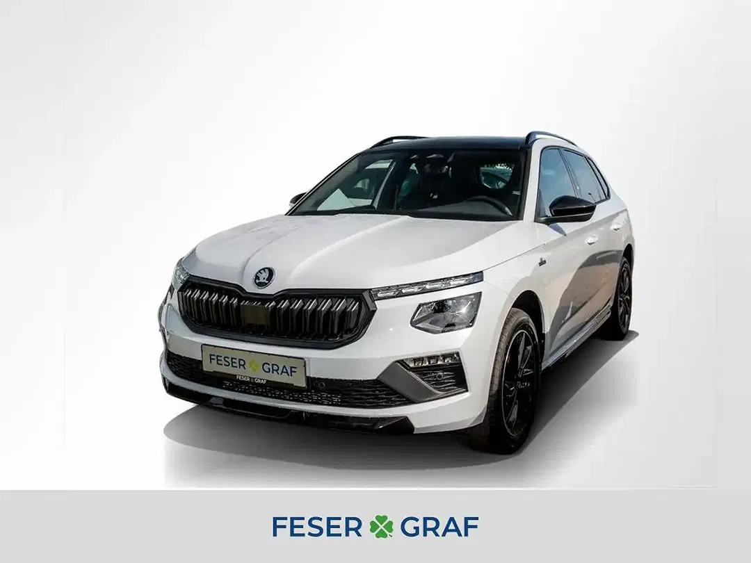 Skoda Kamiq - Thumbnail 1