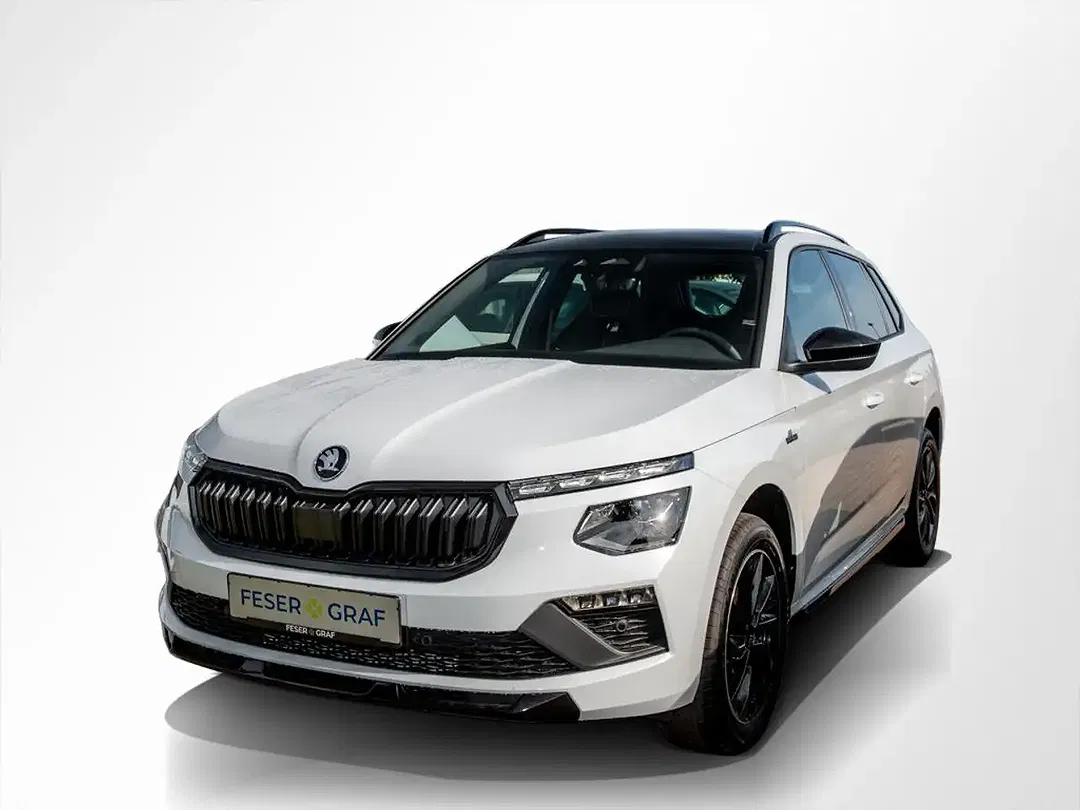 Skoda Kamiq - Thumbnail 11