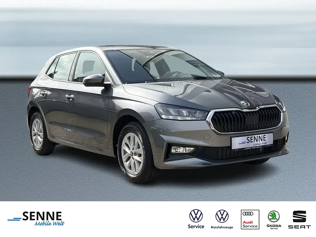 Skoda Fabia - Thumbnail 2