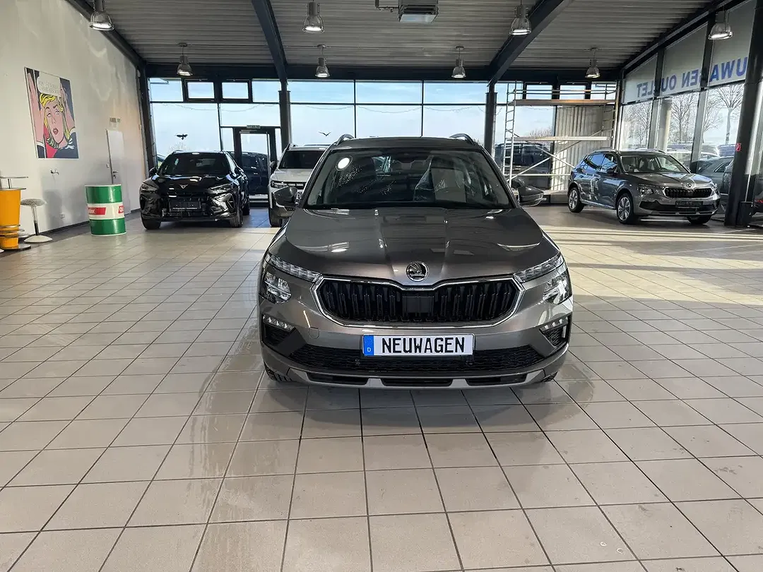 Skoda Kamiq - Thumbnail 9