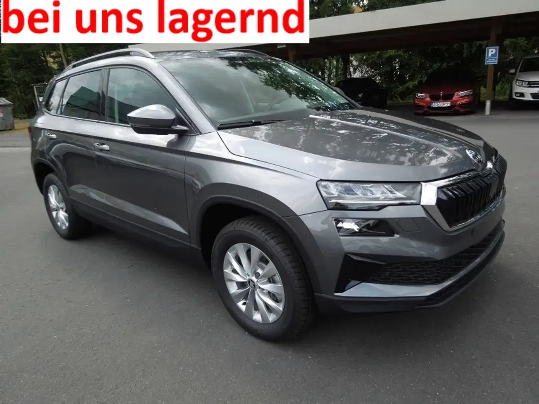 Skoda Karoq - Thumbnail 1