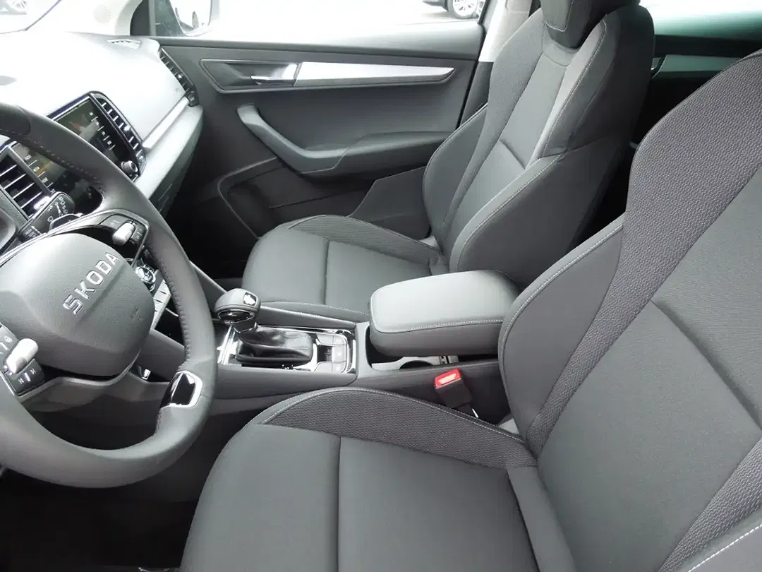 Skoda Karoq - Thumbnail 10