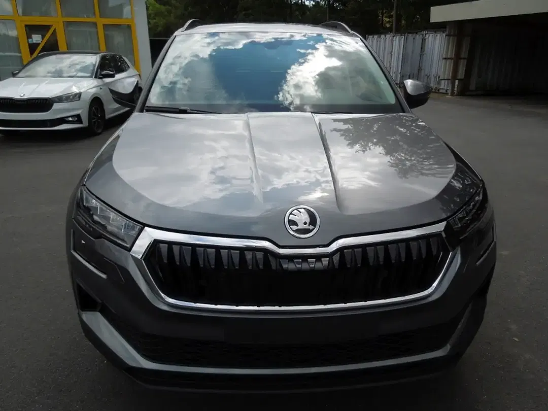 Skoda Karoq - Thumbnail 2