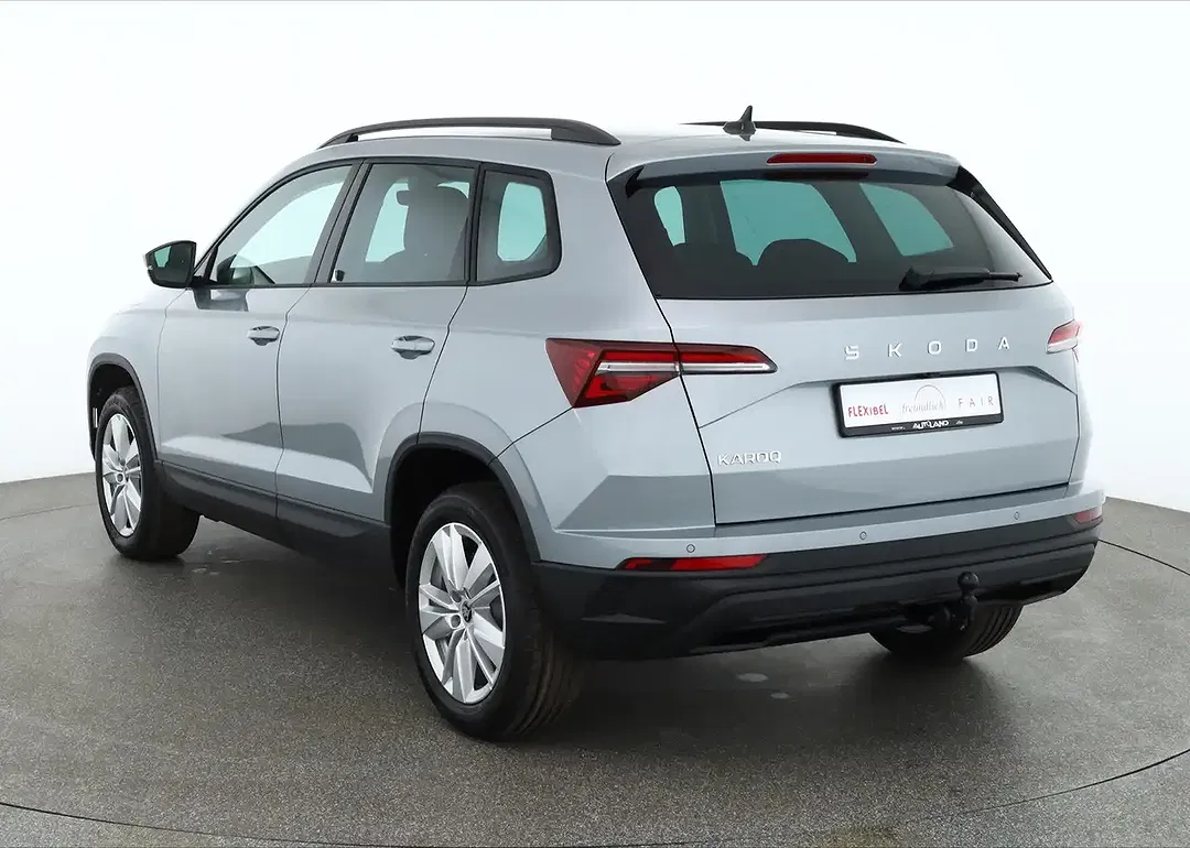 Skoda Karoq - Thumbnail 2
