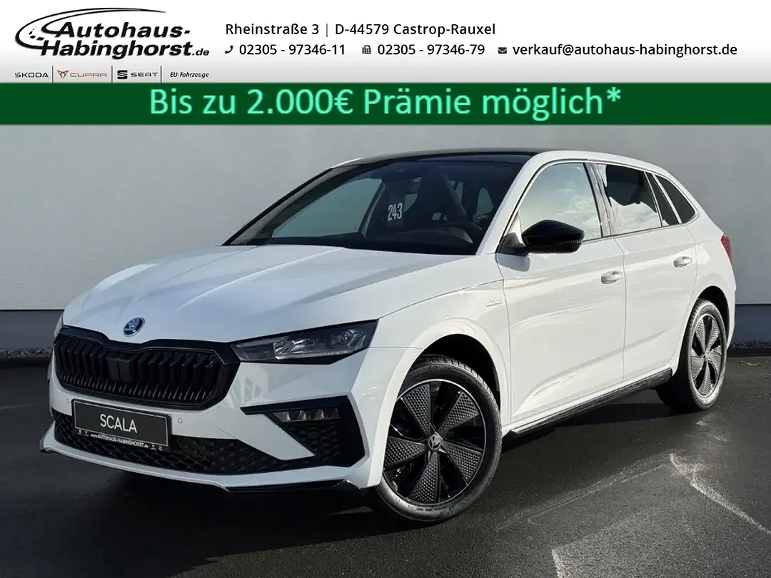 Skoda Scala - Thumbnail 1