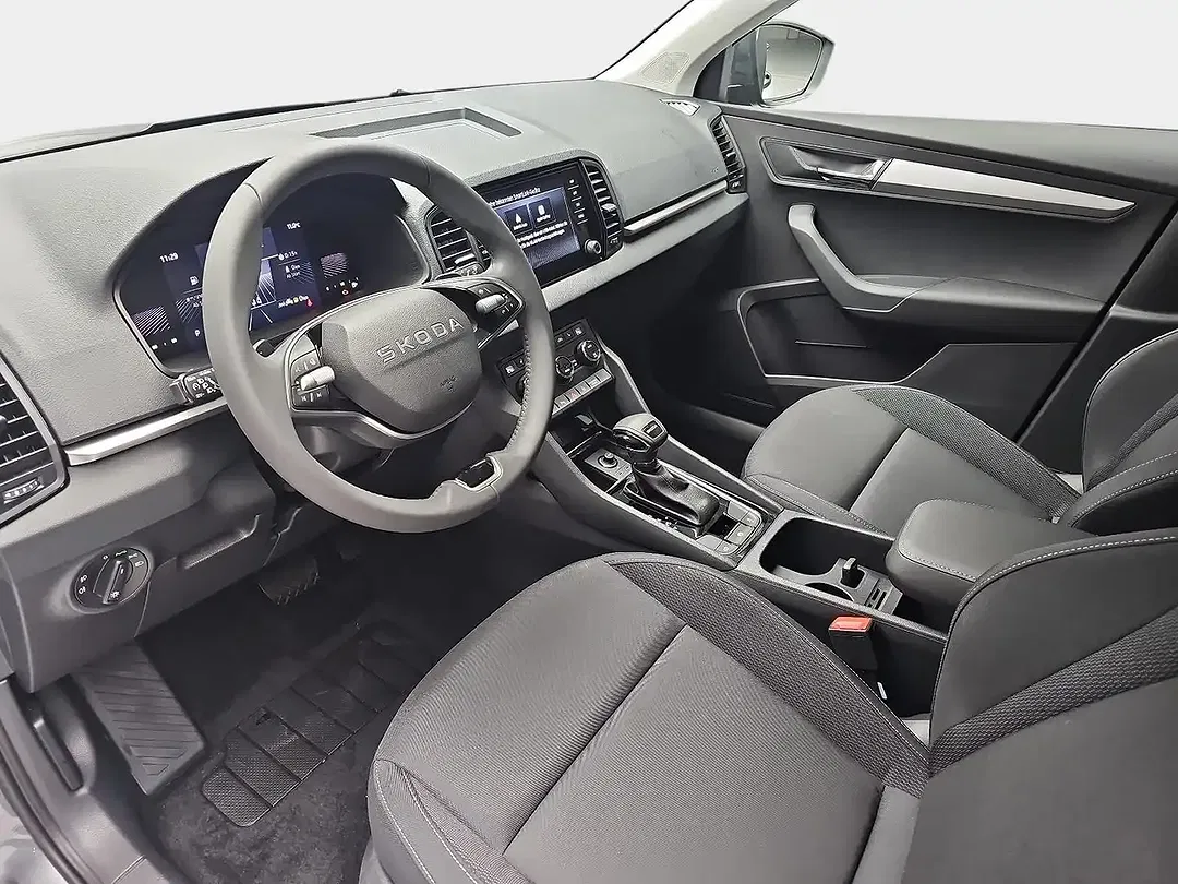 Skoda Karoq - Thumbnail 19