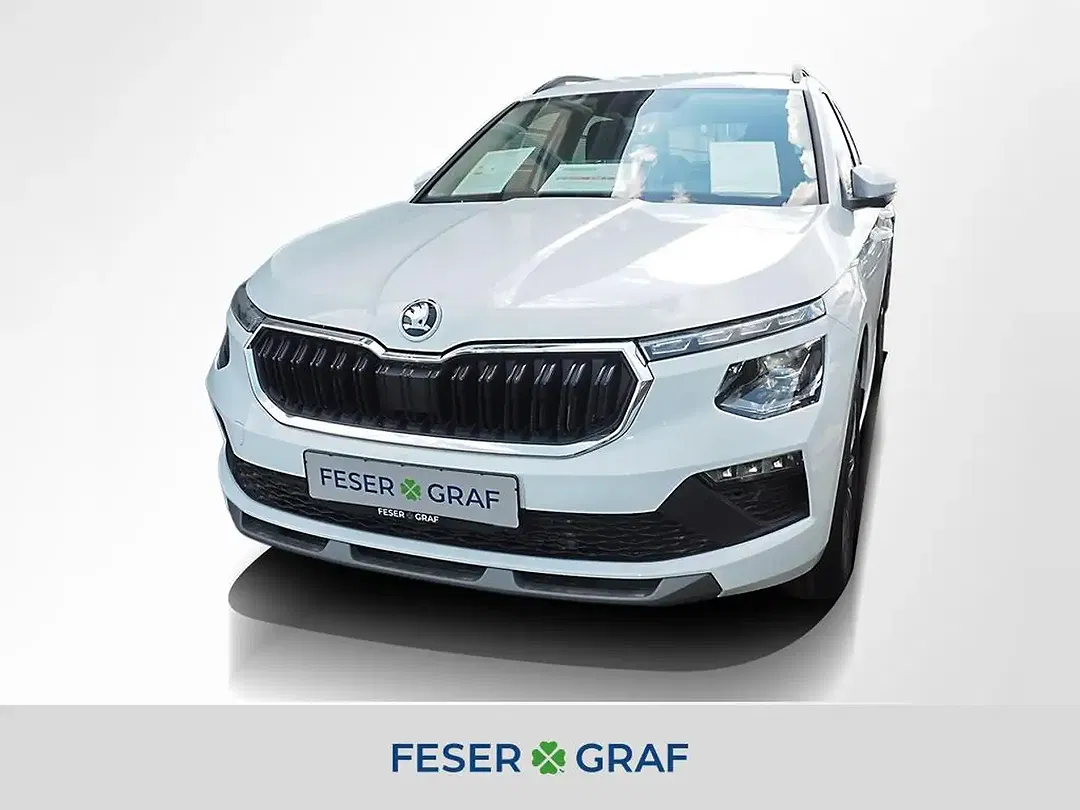 Skoda Kamiq - Thumbnail 1
