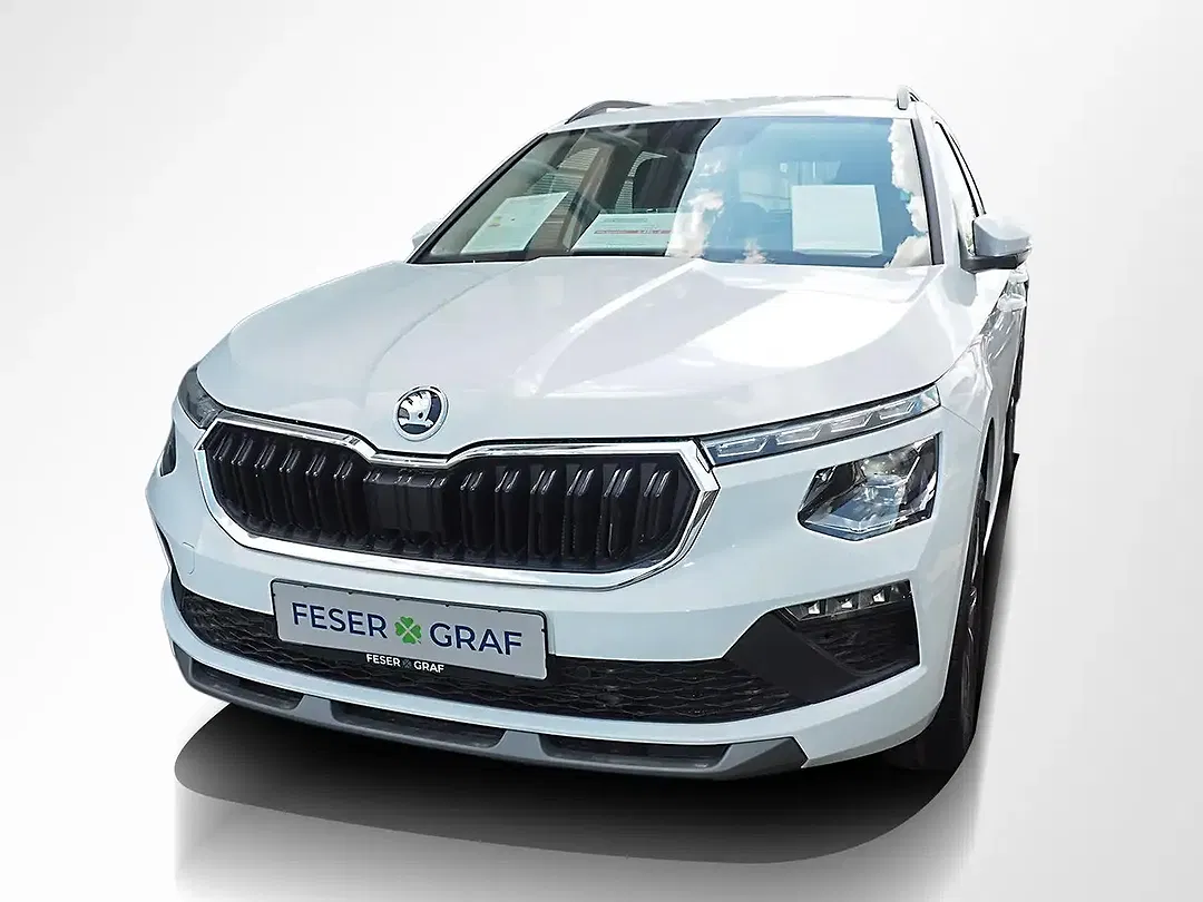 Skoda Kamiq - Thumbnail 11