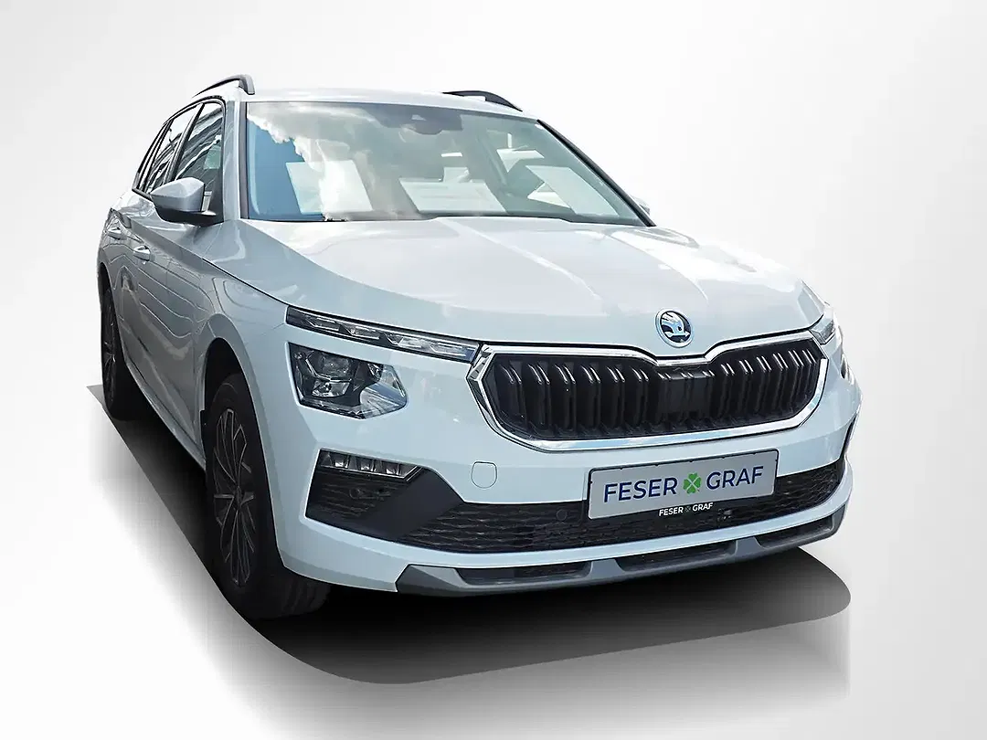 Skoda Kamiq - Thumbnail 2