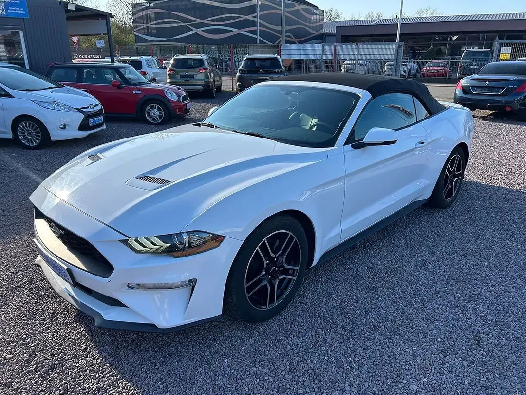 Ford Mustang - Thumbnail 15