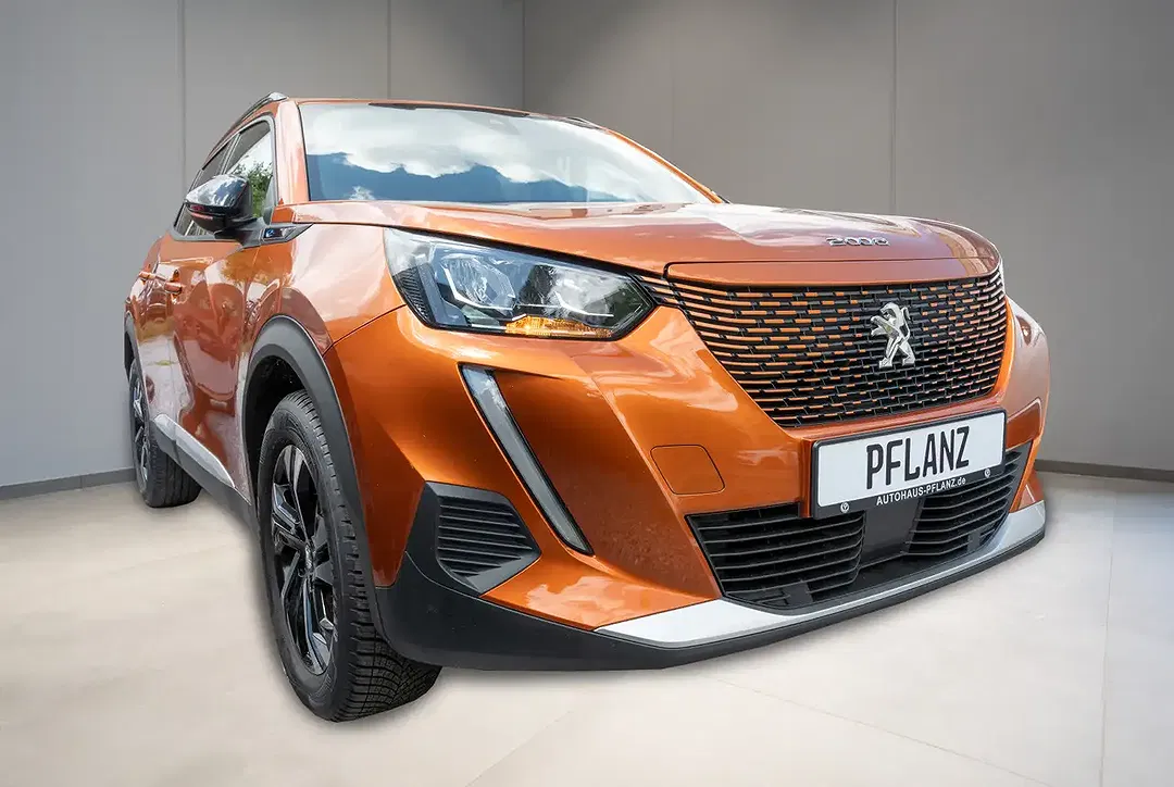 Peugeot 2008 - Thumbnail 2